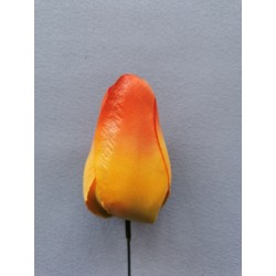 Tulipán oranžový vazbový 8,5 cm