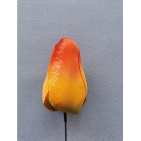 Tulipán vazbový