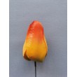 Tulipán vazbový