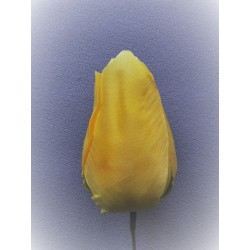 Tulipán žlutý vazbový 8,5 cm