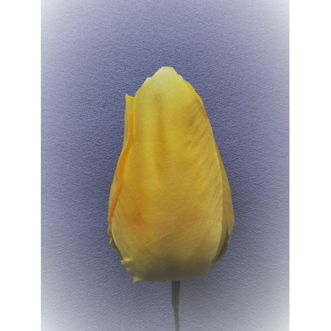 Tulipán vazbový