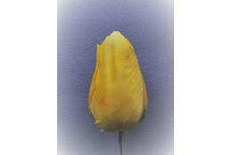 Tulipán žlutý vazbový 8,5 cm