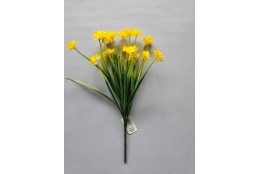 Narcis drobný květ 33 cm