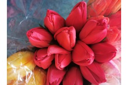 Tulipán pugét 12ks červený 50 cm