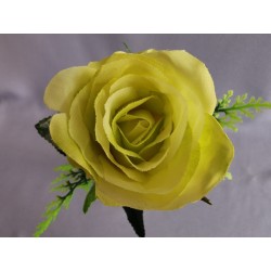 Růže zelená zápich 30 cm