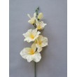 Gladiola