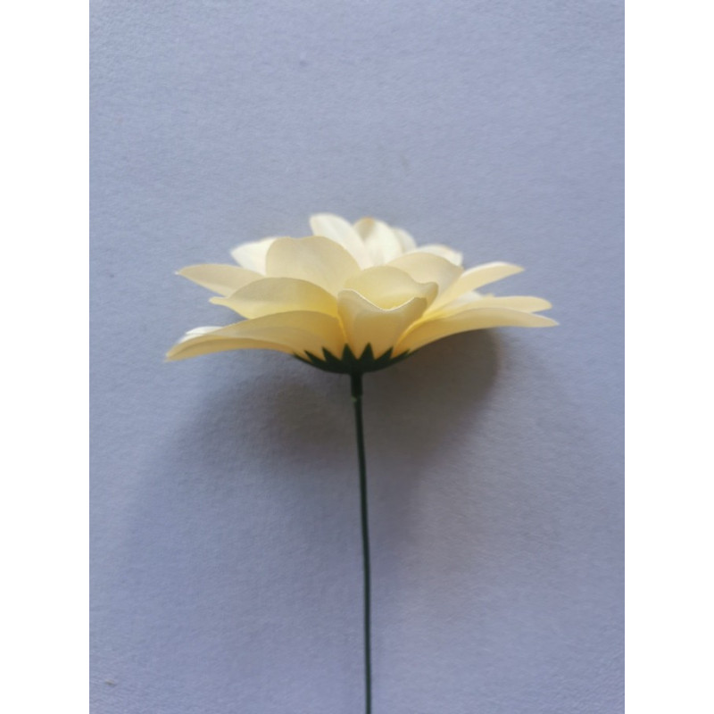 Dahlia