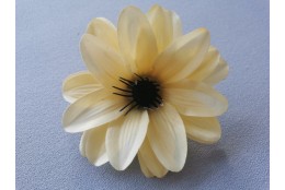 Jiřina Dahlia lemon vazbová Ø 12 cm