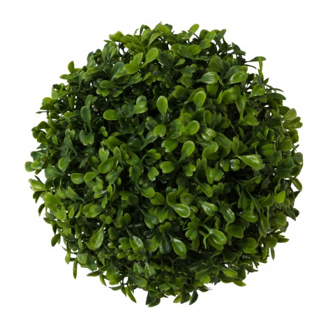 Buxus koule zelená