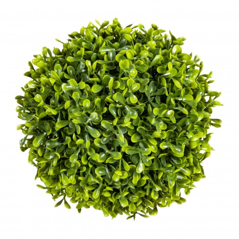 Buxus koule zelená