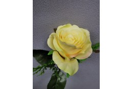 Růže sv. žlutá zápich 30 cm
