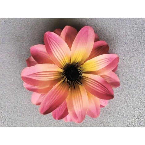 Dahlia