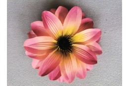Jiřina Dahlia starorůžová vazbová Ø 12 cm