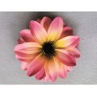 Dahlia