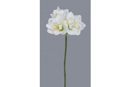 Amarylis krém 54 cm