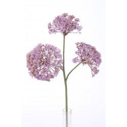 Rozchodník lavender 36 cm