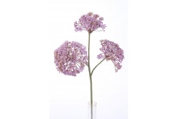 Rozchodník lavender 36 cm