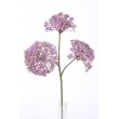 Rozchodník lavender