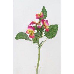 Maceška lavender 37 cm