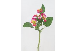 Maceška lavender 37 cm