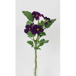 Maceška purple 37 cm