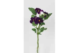 Maceška purple 37 cm