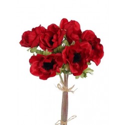 Vlčí mák svazek červený 28 cm