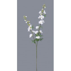 Delphinium krémové 98 cm
