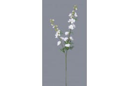 Delphinium krémové 98 cm