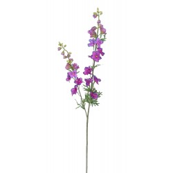 Delphinium fuchsie s modrými okraji 98 cm