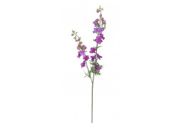 Delphinium fuchsie s modrými okraji 98 cm
