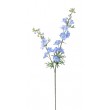 Delphinium 98 cm, LTBL
