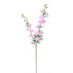 Delphinium sv. růžové 98 cm