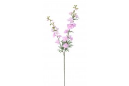 Delphinium sv. růžové 98 cm