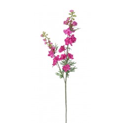 Delphinium fuchsie 98 cm