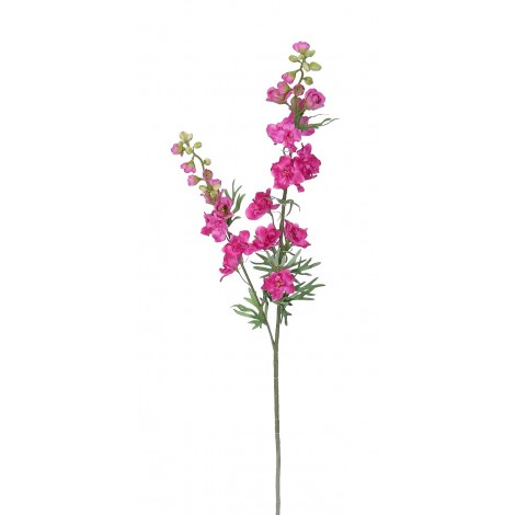 Delphinium 98 cm, PU