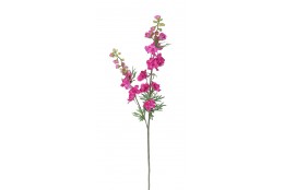 Delphinium fuchsie 98 cm