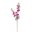 Delphinium 98 cm, PU