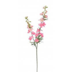 Delphinium růžovo-oranžové 98 cm