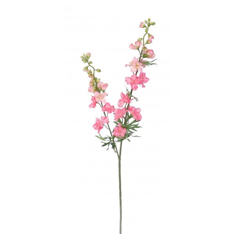 Delphinium 98 cm, SA