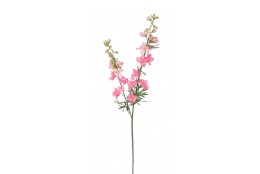 Delphinium růžovo-oranžové 98 cm