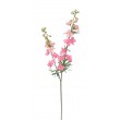 Delphinium 98 cm, SA