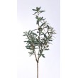 Větev oliva, 84 cm