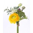 Ranunculus svazek