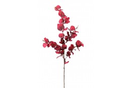 Větev podzimní eukalyptus burgundy 95 cm