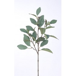 Magnolie větev šedo-zelená 62 cm