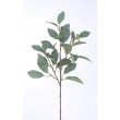 Magnolie větev šedo-zelená