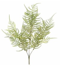 Větvička asparagus zeleno-zlatá 70 cm