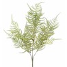 Větvička asparagus