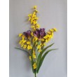 Jarní kytice iris, zl. déšť